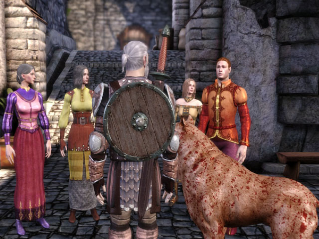 Dragon Age Origins