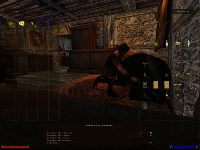 gothic 2 ночь ворона - скользкий и такой манящий путь воровства, думаю никто не обидется...