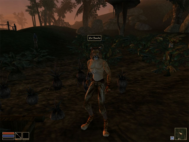 The Elder Scrolls 3: Morrowind