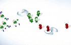 SnowCraft