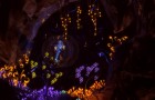 The UnderGarden